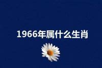 66生肖|1966年属什么生肖